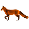 foxtailedx's avatar