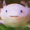 FrederikAS24's avatar