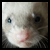 Freepster's avatar