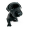 Frejja's avatar