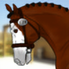 Frenchs-Horse-Sales's avatar