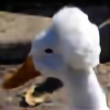 Fro-duck's avatar