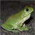 Froggie-Stock's avatar