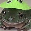 froggythefog's avatar