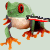 Frogkiller432's avatar