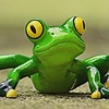 froglovesdev's avatar