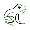 FrogVisual's avatar