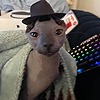 FromieInsite's avatar