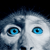 Frost-Monkey's avatar
