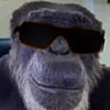 Fryemw's avatar