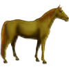 FsuEquestrian's avatar