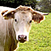 fuhbaer's avatar