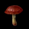 fungus3's avatar