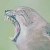 FunniLad's avatar
