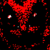 funwinniekygr4's avatar