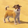 furcoa's avatar