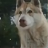 furrelover's avatar
