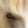 furryarabian's avatar