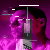 Futurum-Undam's avatar