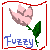 fuzzy22's avatar
