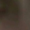g8h6yd's avatar