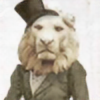 GaiaRapone's avatar