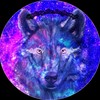 galaxythehedgewolf's avatar