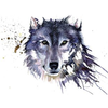 GalaxyWolfWorld's avatar