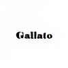 gallato's avatar