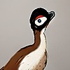 Galliraptor's avatar