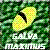 Galvamaximus's avatar