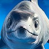 gamesbello's avatar