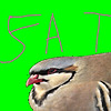 GaySatan360's avatar