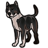 Gecko-Rolls's avatar
