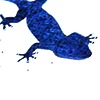 geckobleu31's avatar