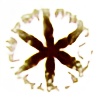 geckoluvr's avatar