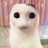 GENL0SSER's avatar