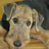 GenoOfErrors's avatar