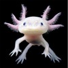 GeorgeSender1988's avatar