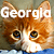 georgiarose's avatar