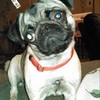 Gersparsy's avatar