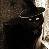 GhostCatLoafing's avatar