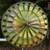 Giligadi's avatar