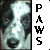 Ginger-Paws's avatar