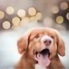 Gingerdogs's avatar