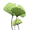 GinkgoArt's avatar