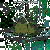 girturkeyplz's avatar