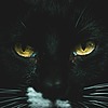 gl00mymoon's avatar