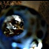 glasshousehott's avatar