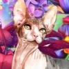 GlitteredKitten's avatar